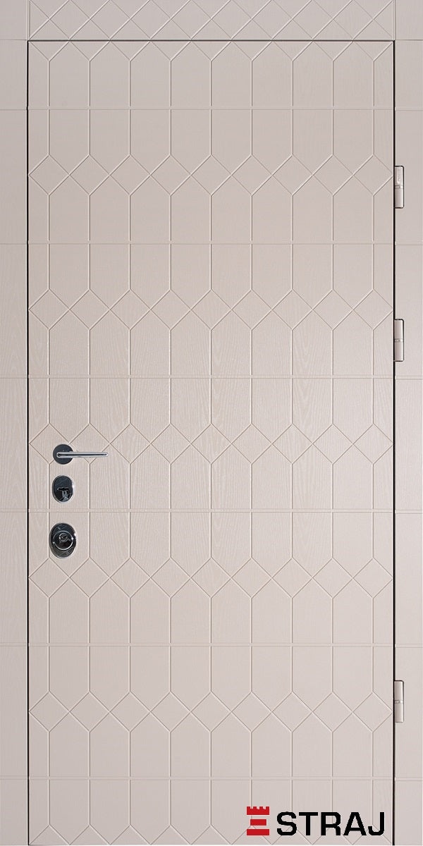 ANTRACIT ND · Wohnungstüren Premium