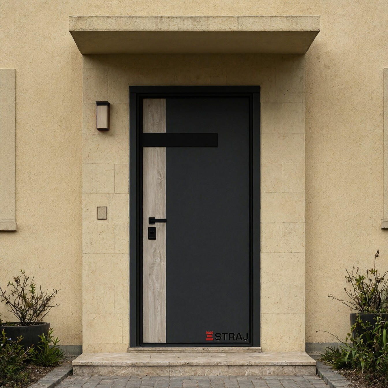 ASPECT GLASS · Einflügelige Haustüren