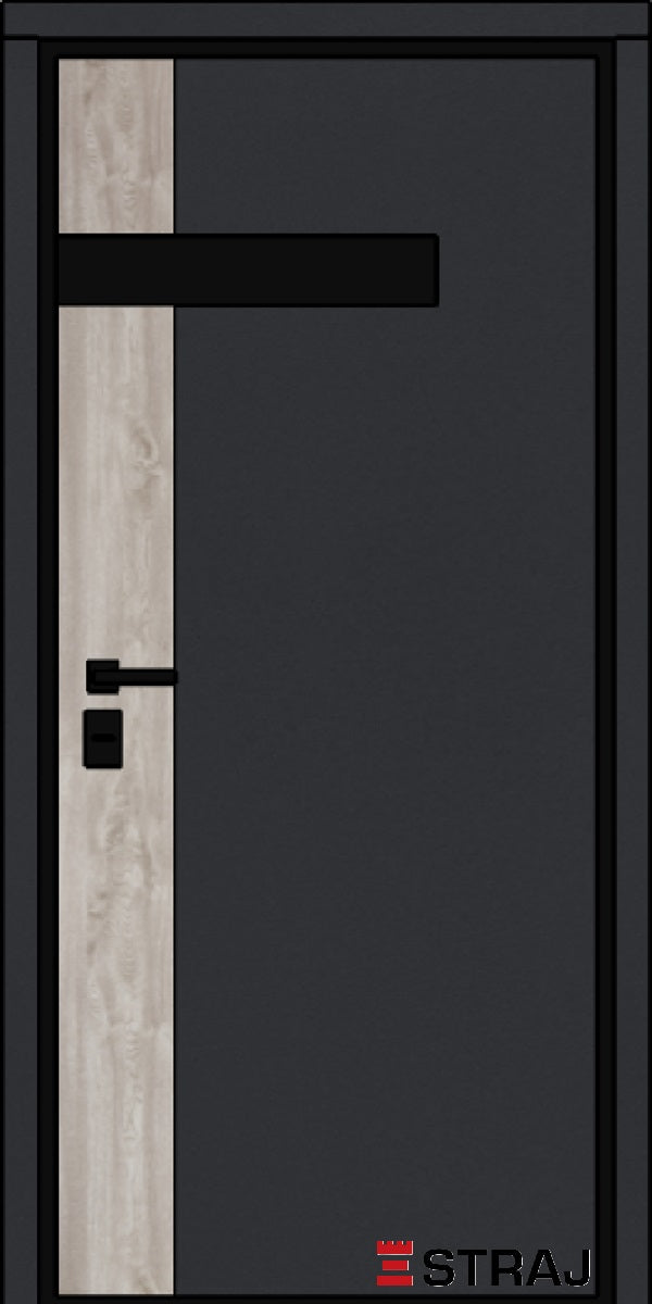 ASPECT GLASS · Einflügelige Haustüren